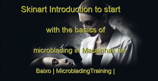 Skinart Introduction to start with the basics of microblading in Macainhas De Baixo | MicrobladingTraining | MicrobladingClasses | SkinartTraining-Portugal